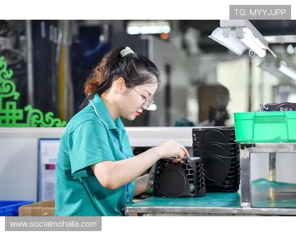 凯时：凯时平台的客户服务体系全面升级为用户提供更优质的服务体验