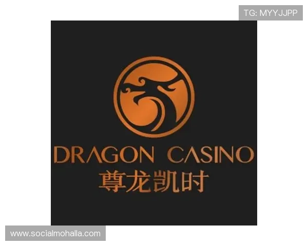 凯时尊龙app下载安装安全保障措施详解保障玩家个人信息与资金安全的完整方案 凯时尊龙app下载安装安全保障措施详解保障玩家个人信息与资金安全的完整方案