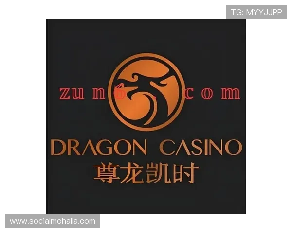 尊龙凯时百家乐在z6com平台上的优势与特色分析