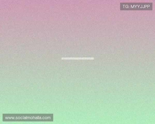 深入解析世界杯埃及对阵伊朗的比赛亮点与关键战术变化