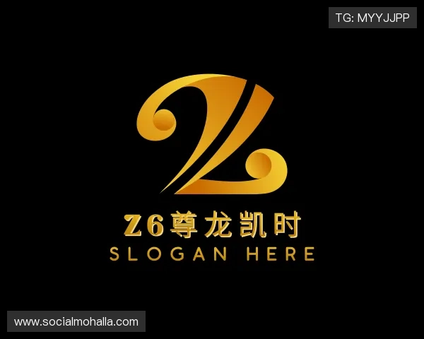 关于z6尊龙凯时